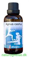 Agnus castus